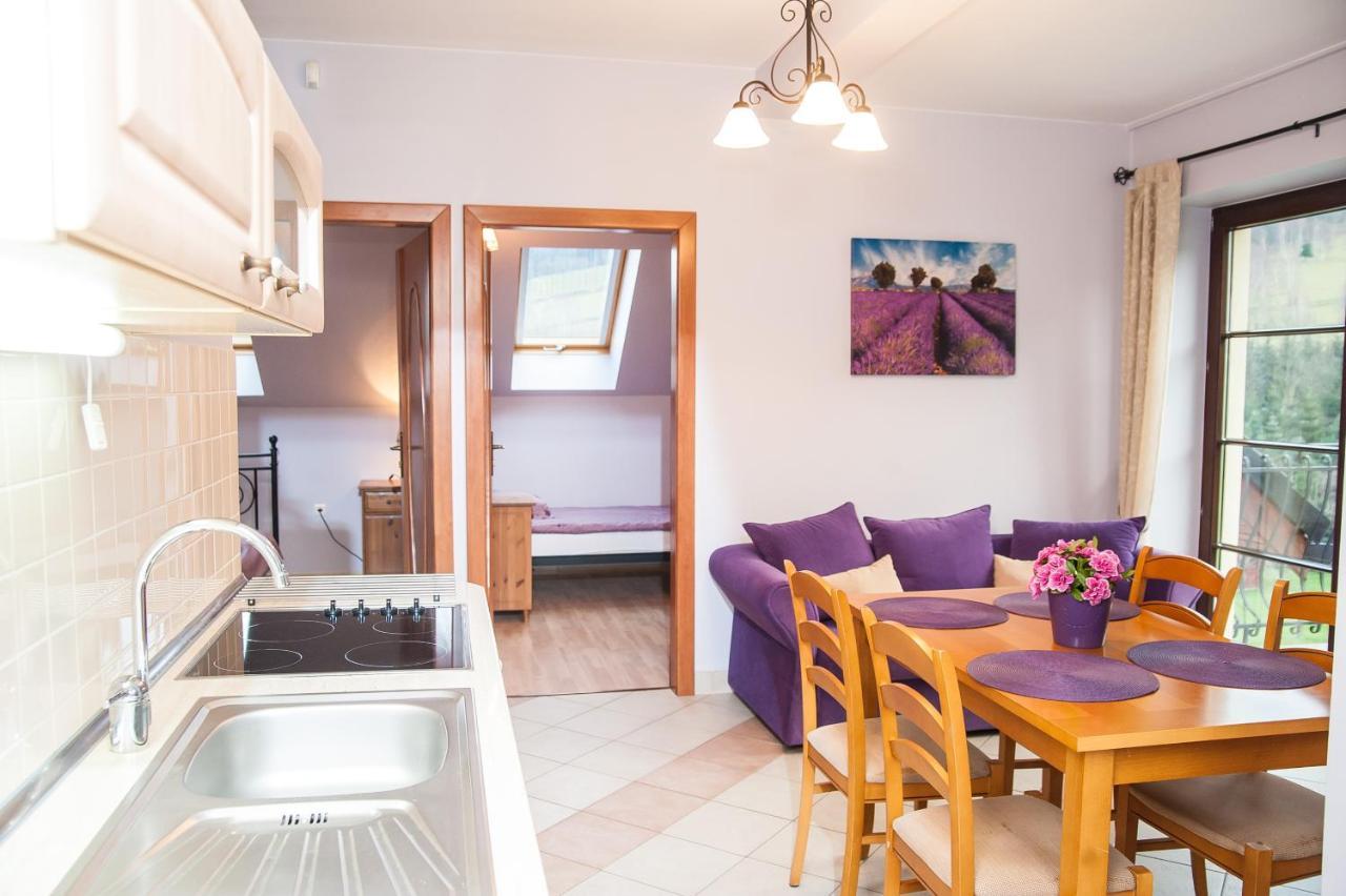 Apartamenty Dom Na Wzgorzu Gardenia Stronie Śląskie Εξωτερικό φωτογραφία