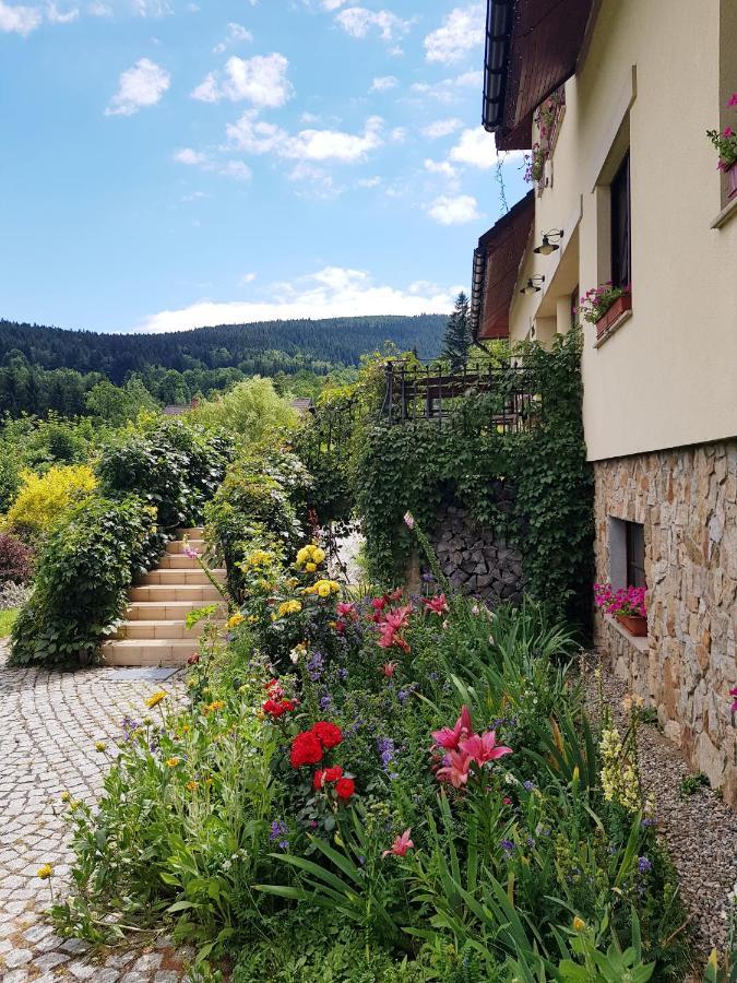 Apartamenty Dom Na Wzgorzu Gardenia Stronie Śląskie Εξωτερικό φωτογραφία